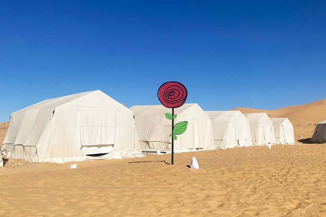 Overnight Tunisia Sahara Desert Safari by 4x4 from Douz - What $290 includes, and where value depends on your plans