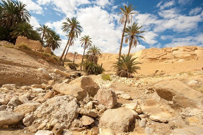 PRIVATE 2 day SAFARI (Ksar Ghilane and Atlas Mountains) from Jerba - Sunrise at Chott El Jerid
