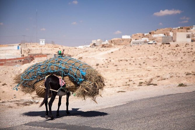 PRIVATE 2 day SAFARI (Ksar Ghilane and Atlas Mountains) from Jerba - Ong Jmel, Chott el Gharsa, and the rough road