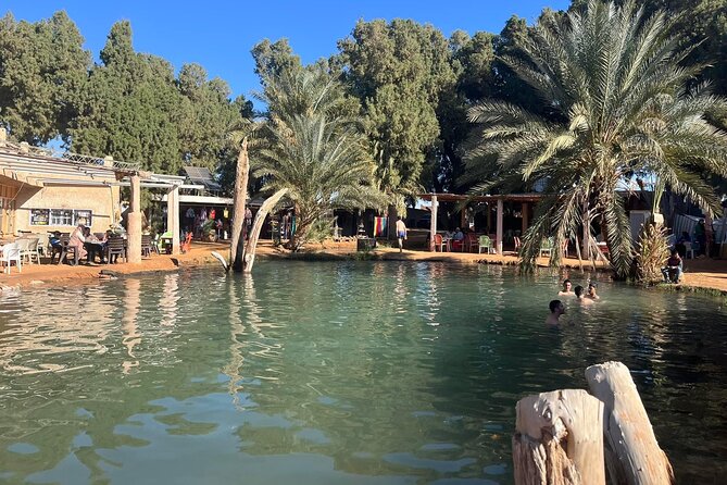 Private 3-Day Excursion to the Tunisian Desert - Day two: Chott Djerid and the mountain oases