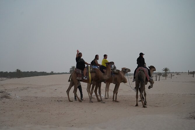 Private 3 Day Tour in Southern Tunisia or More - Day 1: Roman stone at El Jem