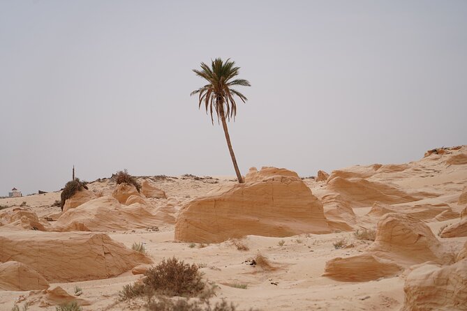 Private 3 Day Tour in Southern Tunisia or More - Tozeur, the oasis city