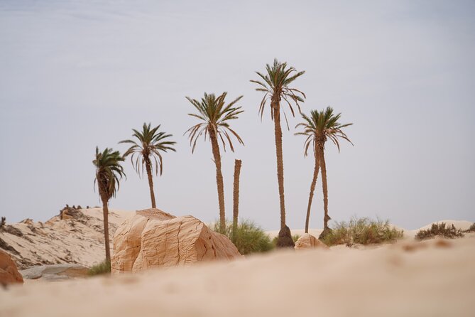 Private 3 Day Tour in Southern Tunisia or More - The long return through Metlaoui, Gafsa, Sidi Bouzid, and Kairouan