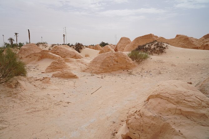Private 3 Day Tour in Southern Tunisia or More - Comfort, guides, and group size