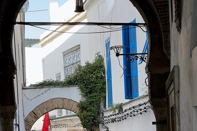 Private Day Tour Tunis Medina Carthage Sidi Bou Said Bardo Museum - The Medina of Tunis: history, craft, and shopping
