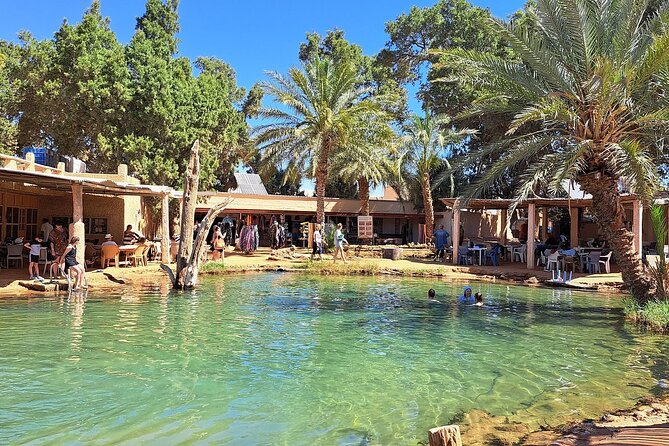 Private Day Trip Ksar Ghilane Oasis - Key points to know before you book
