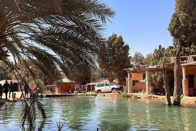 Private Day Trip Ksar Ghilane Oasis - Practical planning for the day