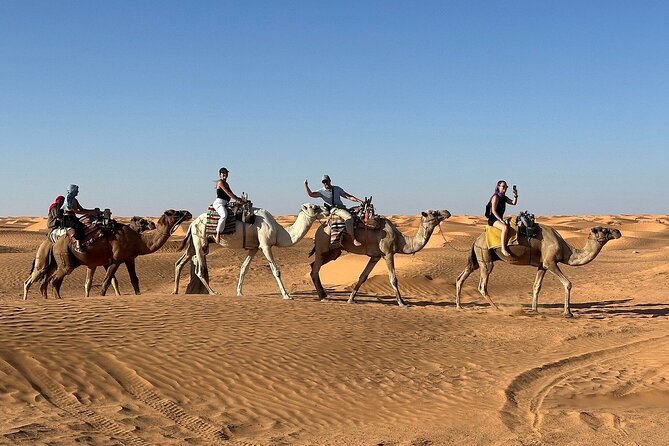 Private Day Trip Ksar Ghilane Oasis - Ksar Ghilane oasis, lunch, and thermal water