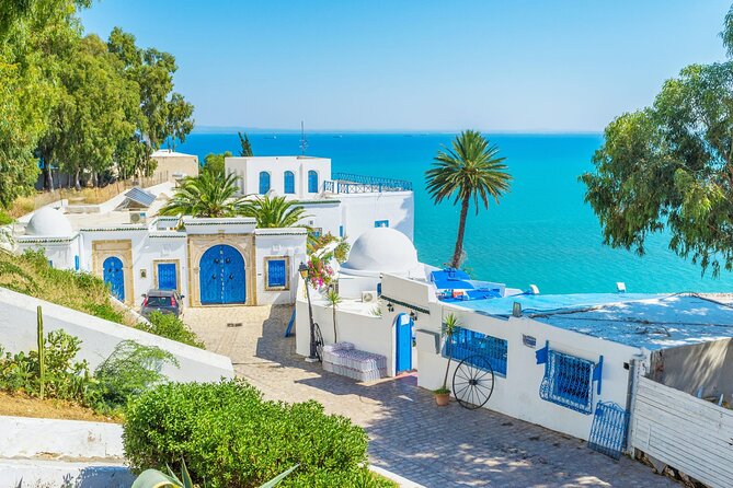 Private Day Trip Tunis Carthage Sidi Bou Said - The Medina of Tunis: the day’s most local-feeling stop