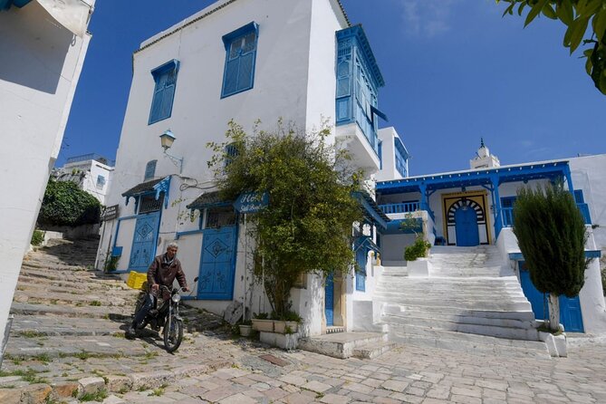 Private Day Trip Tunis Carthage Sidi Bou Said - What the guide adds to the experience