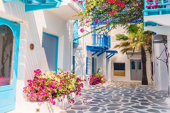 Private Day Trip Tunis Carthage Sidi Bou Said - Who should book this day trip