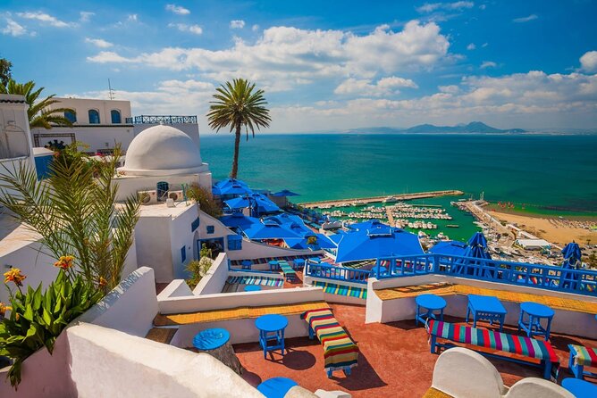Private Day Trip Tunis Carthage Sidi Bou Said - Carthage: Roman power beside the Mediterranean