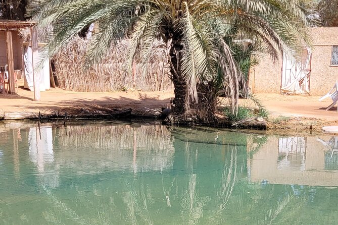 Private getaway in the desert like no other - Sabria and the night in a Berber tent