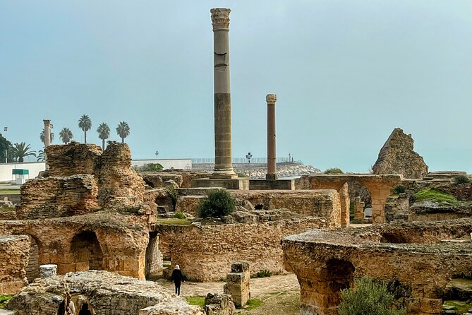Private Group Day Tour Tunis Medina Carthage Sidi Bou Said - What happens to the Bardo Museum?