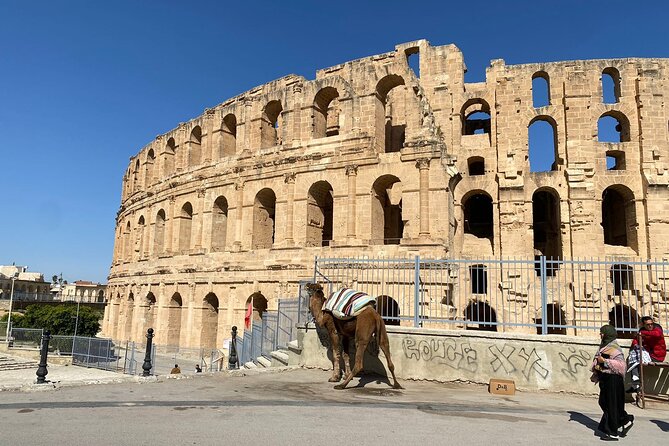 Private Half Day Tour Roman Coliseum EL JEM - How the private format affects the experience