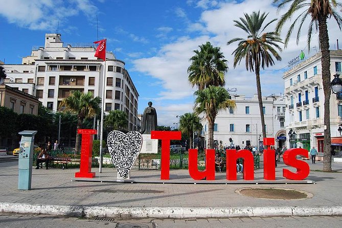 Private Half Day Tunis City Tour - How the vehicle and walking work together
