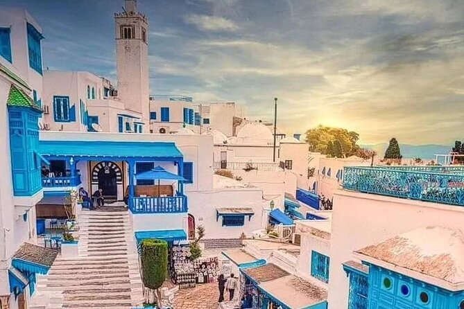 Private Tour Bardo Museum, Carthage, Sidi Bou Said and Medina - Carthage, where ancient power met the sea