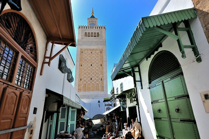Private tour: Medina,Carthage ,Sidi Bou Said, Bardo Museum+lunch - Carthage: scattered ruins with a coastal setting