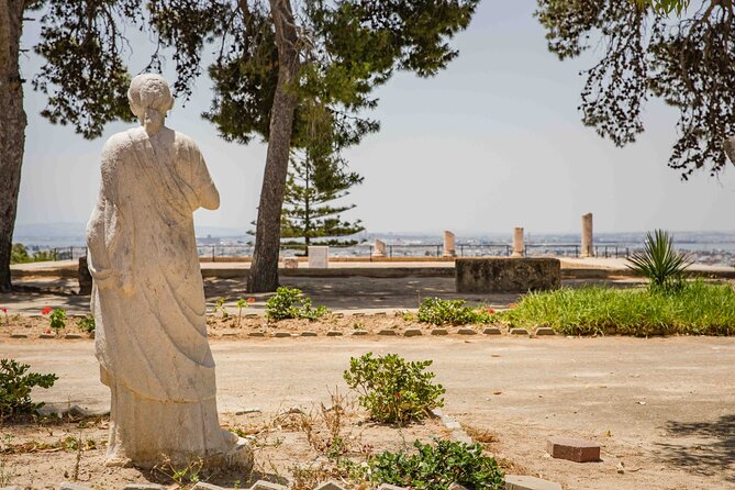 Private Walking Tour of Carthage Archaeological Site in Tunisia - Key points to know before booking