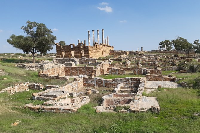 Roman Archeology Guided Tour Thuburbo Majus & Uthina - The best fit for history-focused visitors
