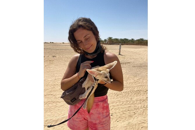 Sahara 2 Days Tour VIP In Tunisia | Guided FUN | PICKUP ALL City - Douz and your first Sahara sunset
