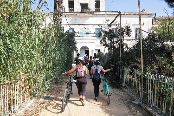 Self guided bike tour of Carthage archeological site - Three hours among the main Carthage ruins