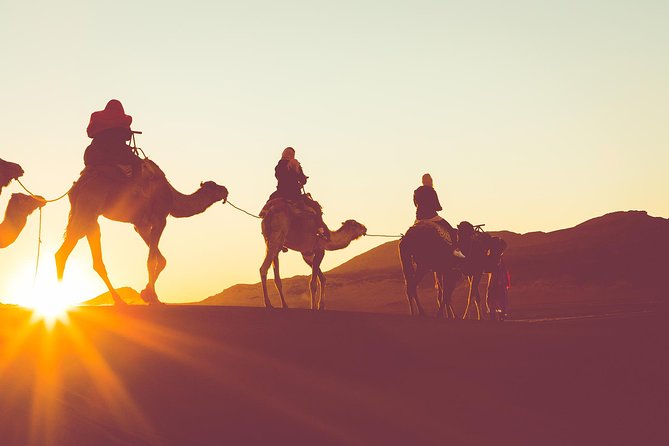 Sunset or Sunrise Camel ride in the Sahara Desert of Douz - Key points at a glance