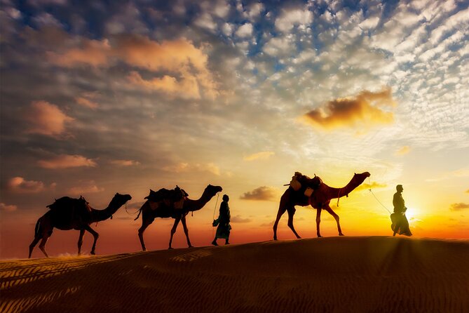 Sunset or Sunrise Camel ride in the Sahara Desert of Douz - Meeting your camel and dressing for the ride