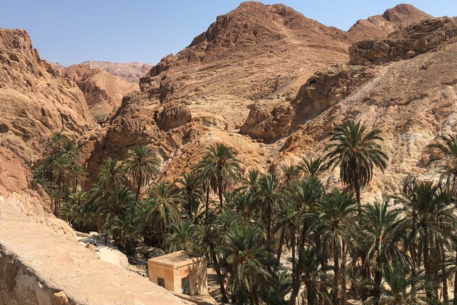 Tamerza, Chebika, Mides Canyons and Star Wars Full-Day Tour - The driver-led format and Abdel’s role
