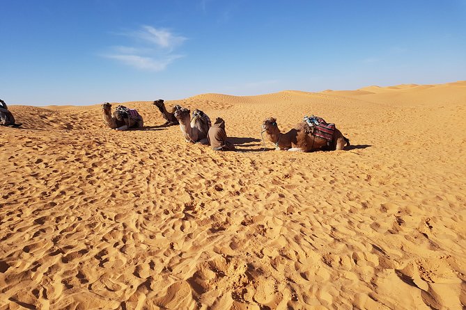 Tatouine - Cheneni - Ksar Ghuilaine - Matmata: 2 days visit - Key points to know before you book