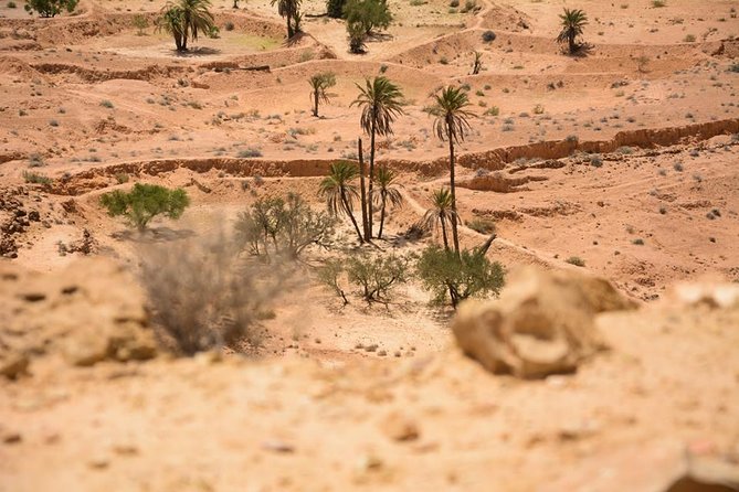 The three desert and mountain oases - Salt lakes and mountain oases