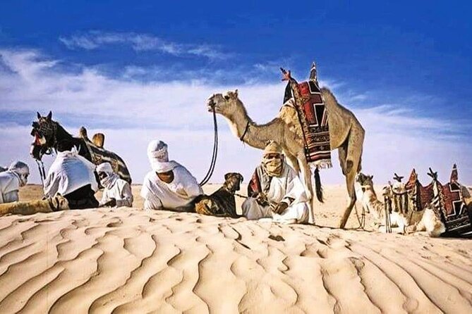 The Tunisian South between Oasis and Mountain: 3 Days / 2 Nights Douz and Tozeur - Guides, driving, and the pace of the trip