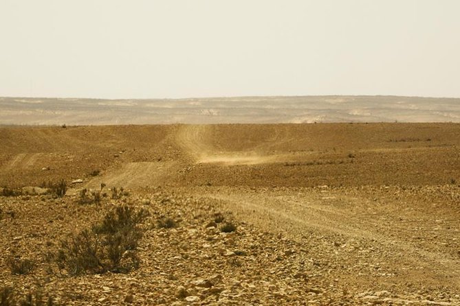 The Wonders of Tunisia: 8 days / 7 nights - Why southern Tunisia deserves eight days