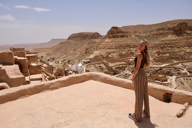 The Wonders of Tunisia: 8 days / 7 nights - Dromedaries in the open desert