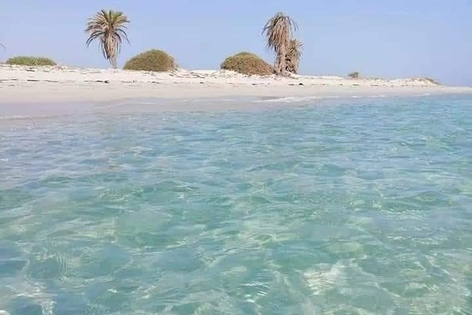 Tour of the island of Djerba the island of Lotophages - Why this five-hour route works