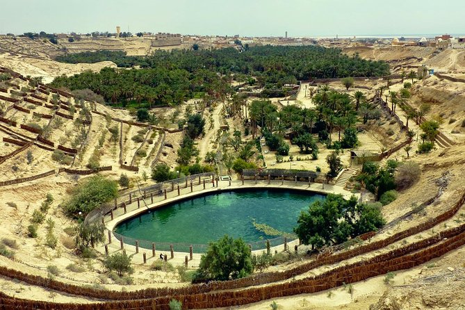 Tozeur and the mountain Oasis - Key points to know before booking