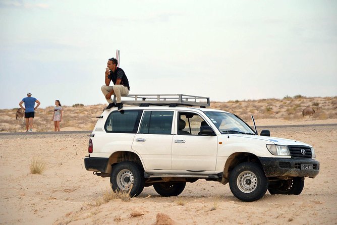 Tozeur and the mountain Oasis - Chebika, Tamerza, and Mides mountain oases