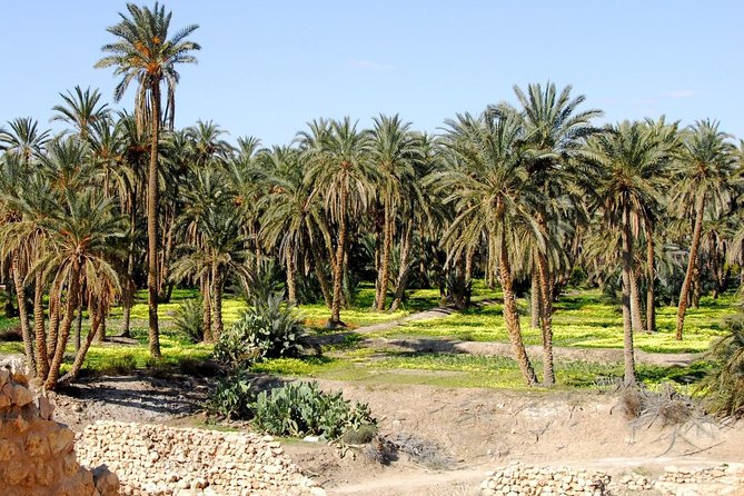 Tozeur and the mountain Oasis - Tozeur, the Nefta basket, and an old medina