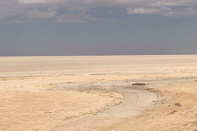 Tozeur and the mountain Oasis - Matmata and a night with local character