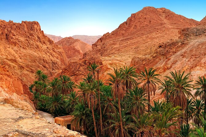 Tozeur Private Half-Day Tour: Tamerza, Chebika and Mides Canyons - Practical details that can shape your morning