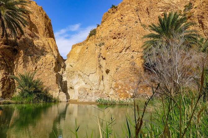 Tozeur Private Half-Day Tour: Tamerza, Chebika and Mides Canyons - Chebika: springs, palms, and the Oasis of the Sun