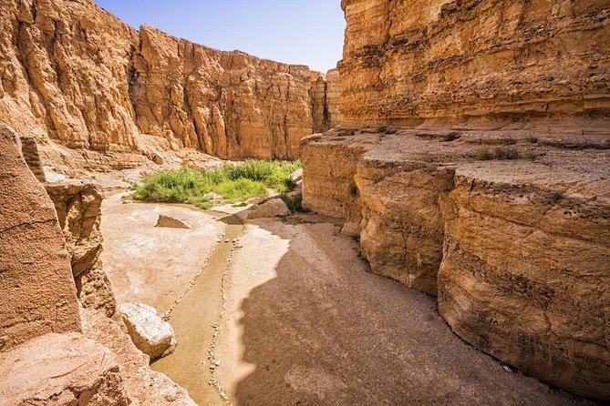 Tozeur: Tamerza, Chebika, Mides and Star Wars locations Day Tour - Mides Valley: canyon views and a quiet oasis