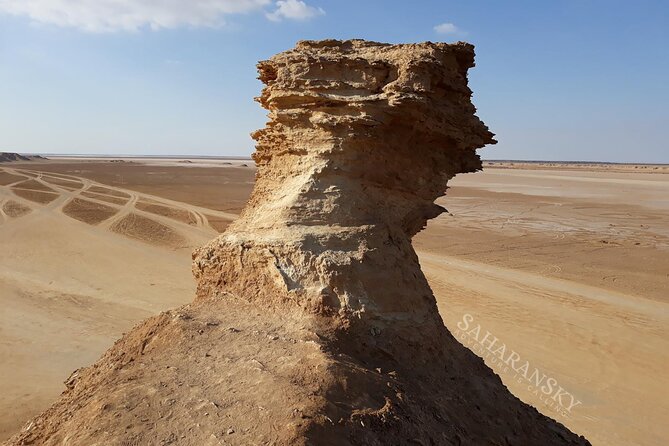 Tozeur: Tamerza, Chebika, Mides and Star Wars locations Day Tour - Chebika: springs in the Oasis of the Sun