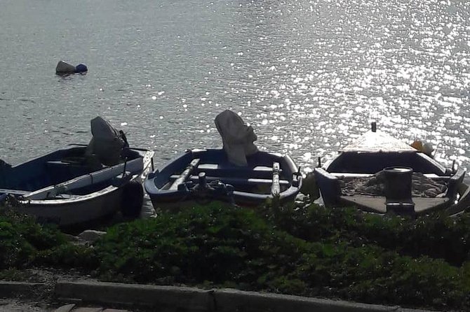 Tunis, Carthage and Sidi Bou Said Self-Guided Excursion from Hammamet - Mint tea and blue streets in Sidi Bou Said