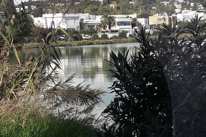 Tunis, Carthage and Sidi Bou Said Self-Guided Excursion from Hammamet - What the $223.24 price really buys