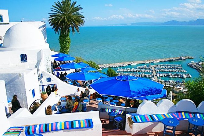 Tunis: Carthage, Bardo Museum, Sidi Bou Said & Medina Group Tour - The Carthage Aqueduct: a short stop with a big idea