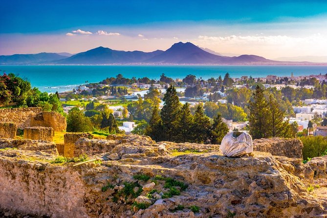Tunis: Carthage, Bardo Museum, Sidi Bou Said & Medina Group Tour - Carthage: understanding a scattered ancient city