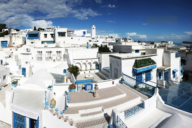 Tunis Group Tour: Carthage, Sidi Bou Said, Bardo museum & Medina - What the $99 price includes in real terms