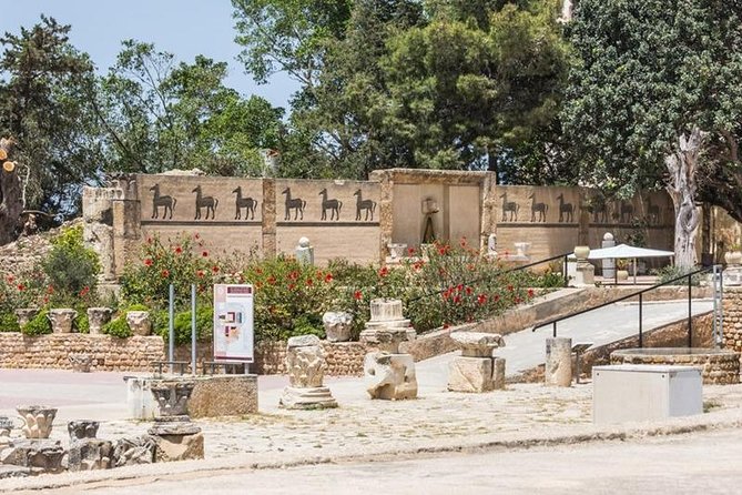 Tunis Group Tour: Carthage, Sidi Bou Said, Bardo museum & Medina - Carthage: two hours among the ancient ruins