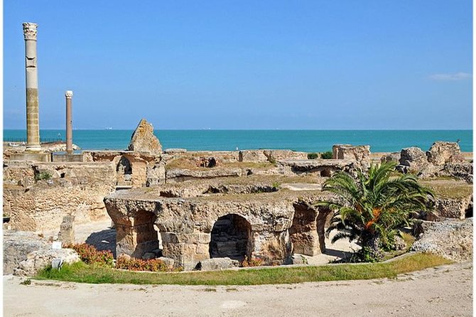 Tunis, Sidi Bousaid and Carthage day trip from Hammamet - Key points to know before booking